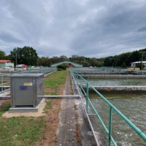 Fishery Nové Hrady – Fish farm Štiptoň (CZ)