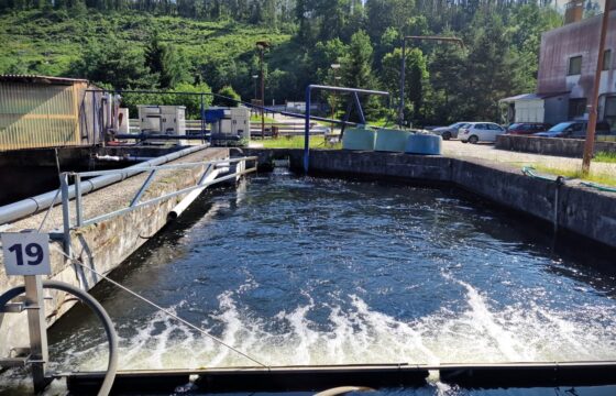 Fishery Kolář, a. s. – Trout centre Velké Meziříčí | Kubíček VHS