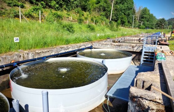 Fishery Kolář, a. s. – Trout centre Velké Meziříčí | Kubíček VHS