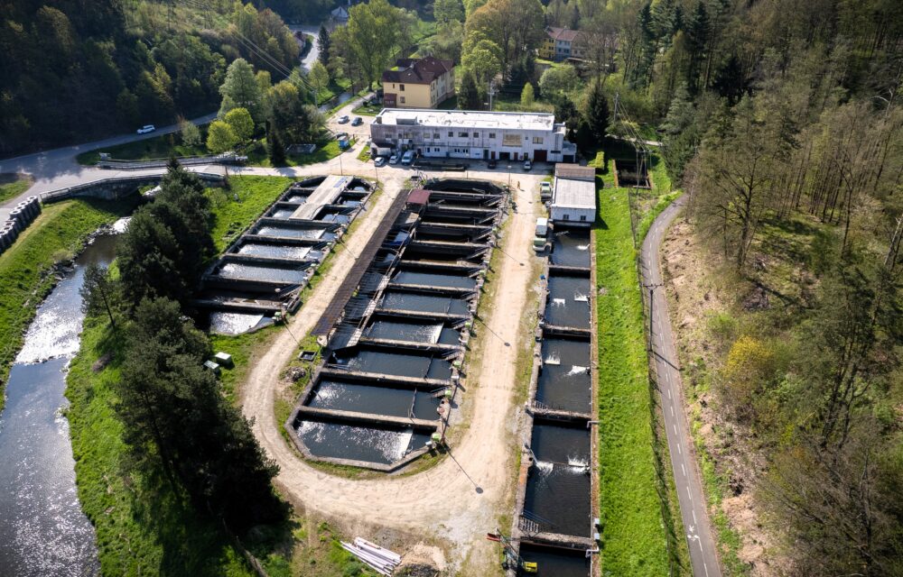 Fishery Kolář, a. s. – Trout centre Velké Meziříčí | Kubíček VHS